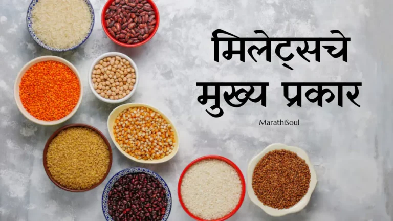 Types of Millets in Marathi