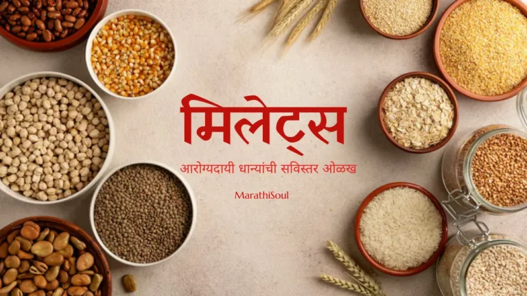 millet in marathi