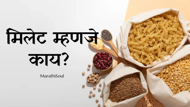 millet meaning in marathi_
